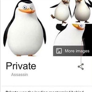 Meet your Posher, Enzo